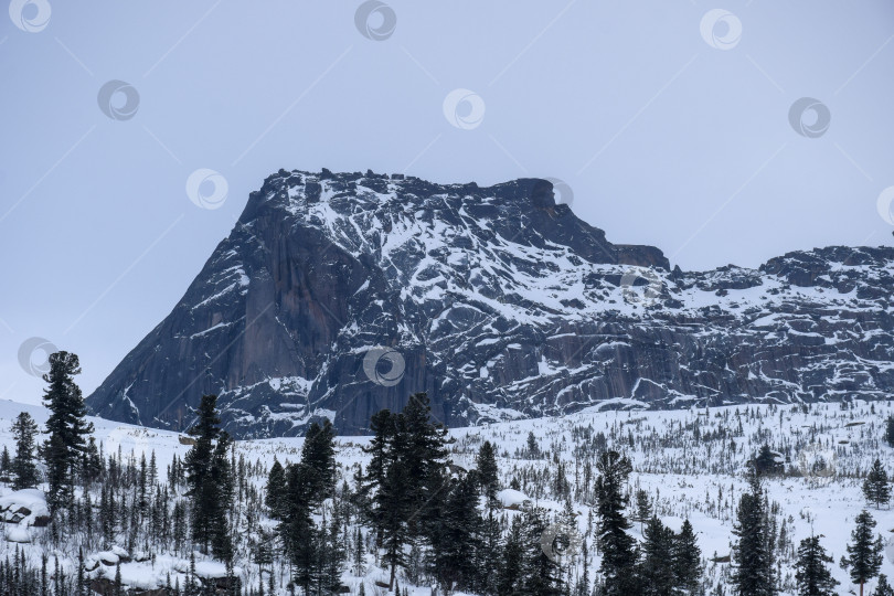 Скачать Зима в горной тайге, Спящий Саян фотосток Ozero