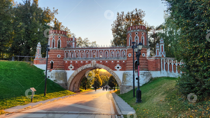 Скачать Фигурный мост усадьбы Царицыно в Москве фотосток Ozero