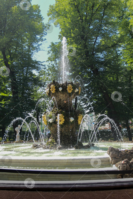 Скачать Фонтан фотосток Ozero