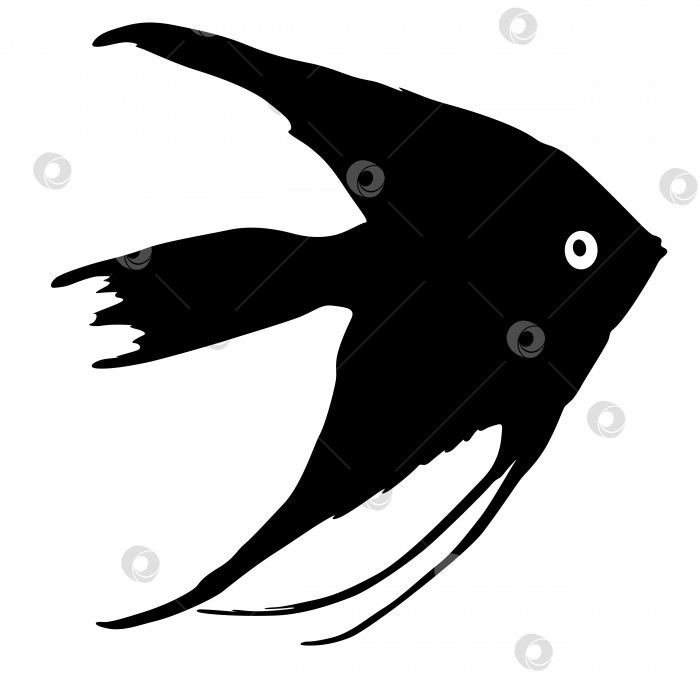 Скачать Черный силуэт аквариумной рыбки на белом фоне фотосток Ozero