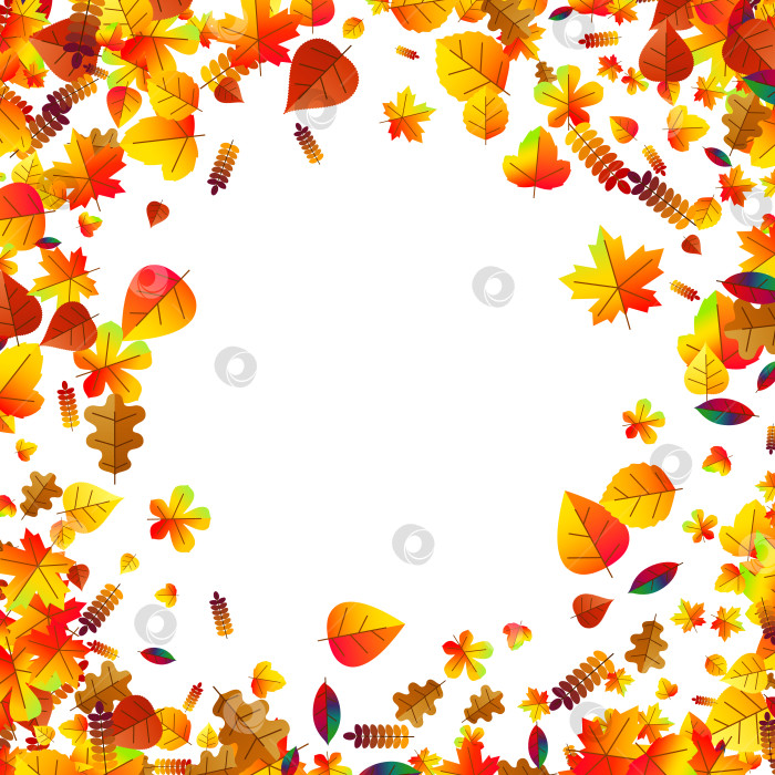 Скачать На фоне разбросанных осенних листьев. Дуб, клен и рябина фотосток Ozero