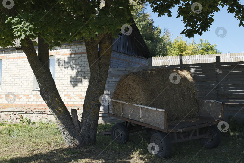 Скачать Рулон сена в телеге под деревом возле дома. фотосток Ozero
