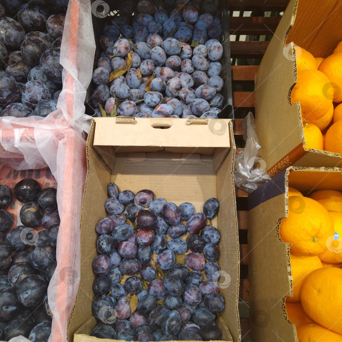 Скачать Отдел слив в магазине "Магнит". фотосток Ozero