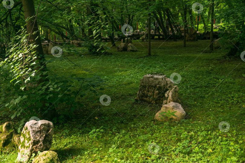 Скачать Пейзаж с зелеными деревьями, травой и камнями в парке. фотосток Ozero