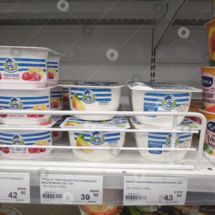 Скачать Он сделал попытку стать "Умным". фотосток Ozero