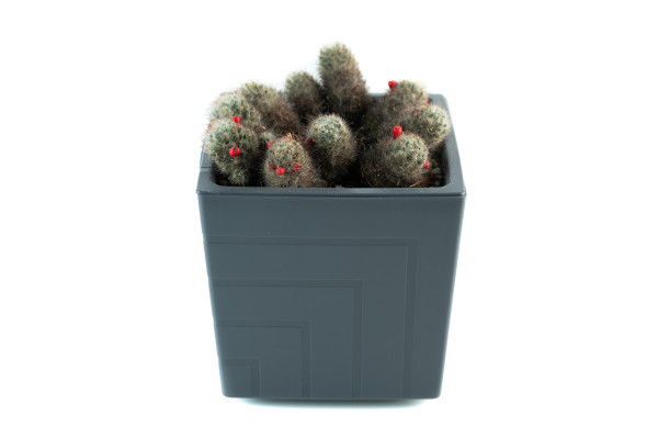 [object Object] undefined