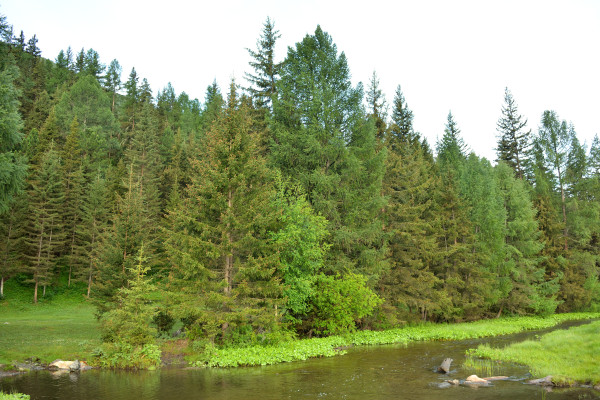 [object Object] undefined