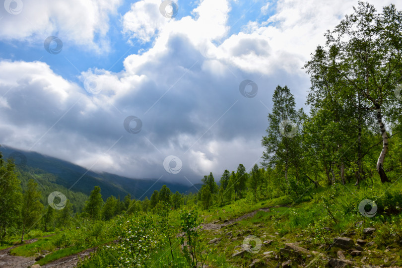 Скачать Таёжный пейзаж фотосток Ozero