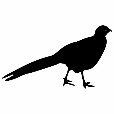 [object Object] undefined