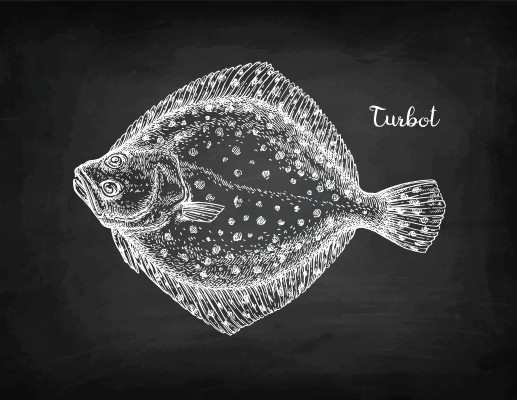 [object Object] undefined