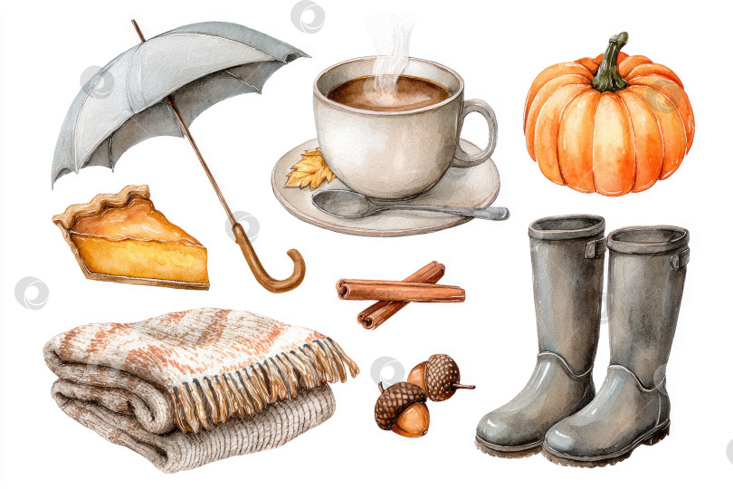 Скачать Уютная осенняя иллюстрация с теплыми напитками, тыквой и сезонными элементами в copy space фотосток Ozero