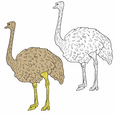 [object Object] undefined