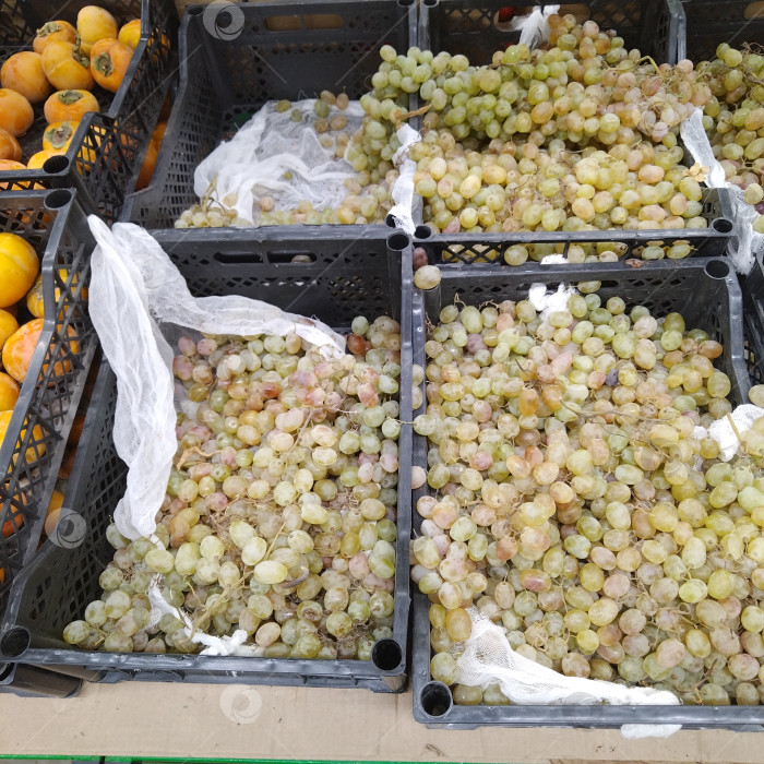 Скачать Отдел винограда в магазине "Победа". фотосток Ozero