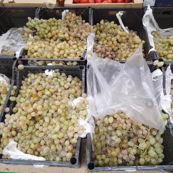 Скачать Отдел винограда в магазине "Победа". фотосток Ozero