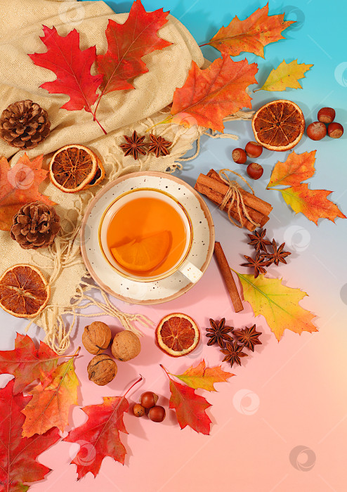 Скачать Яркая осенняя открытка с чашкой чая или глинтвейна, кленовыми листьями, сосновыми шишками, орехами, корицей, звездчатым анисом и сушеными апельсинами, абстрактная сезонная композиция и натюрморт, концепция Дня благодарения, фотосток Ozero