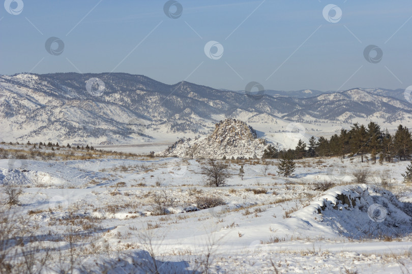 Скачать Зимний закат в лесу с солнечными лучами фотосток Ozero