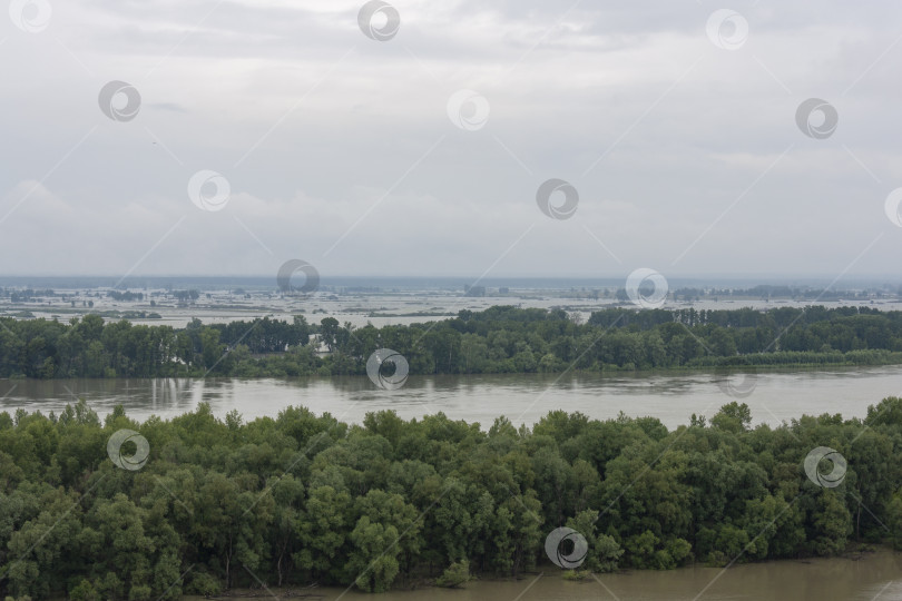 Скачать Разливающаяся река на естественном фоне зеленого леса фотосток Ozero