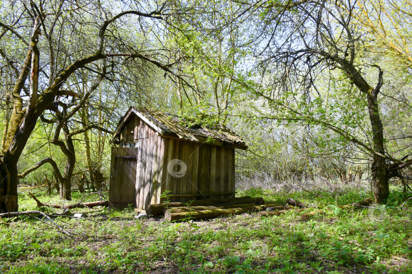 Скачать Сторожка. фотосток Ozero