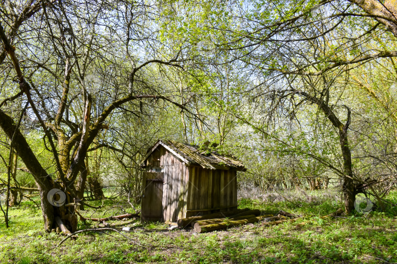 Скачать Старый деревянный домик. фотосток Ozero