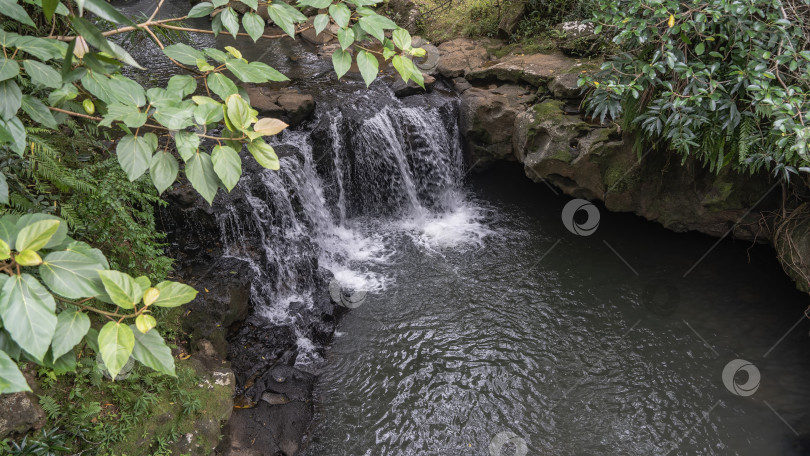 Скачать Живописный маленький тропический водопад. фотосток Ozero