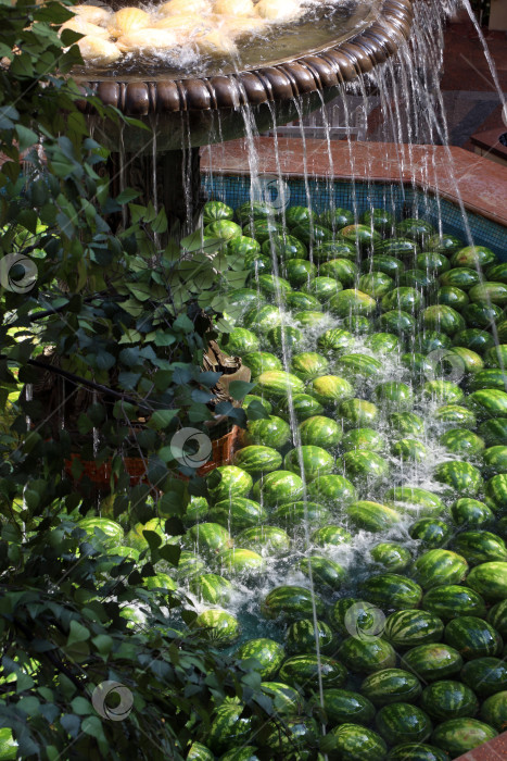 Скачать Москва, Россия - август 20, 2023: Струи воды из фонтана падают на плавающие в воде зеленые полосатые арбузы. фотосток Ozero