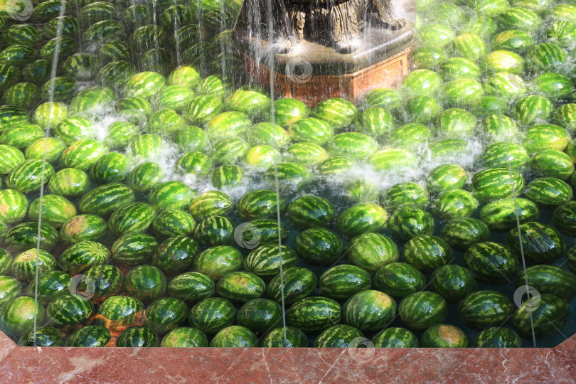 Скачать Москва, Россия - август 20, 2023: спелые зеленые полосатые арбузы плавают в работающем фонтане фотосток Ozero