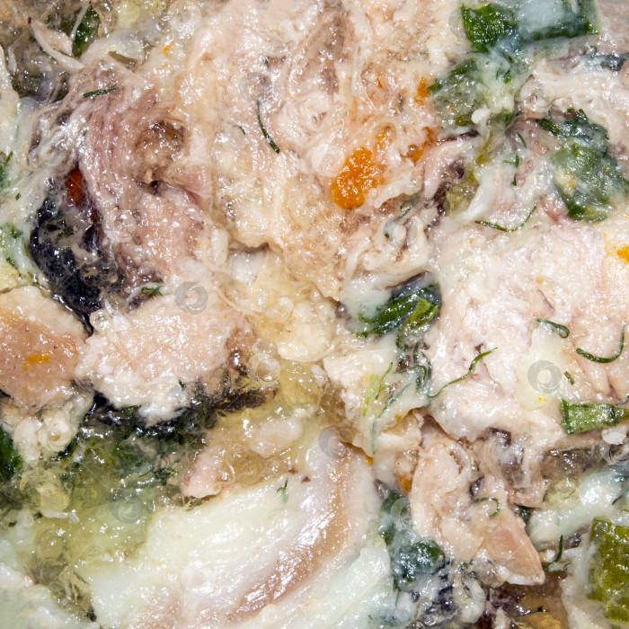 Скачать Русское домашнее мясное желе.Сытное холодное желе.Мясное заливное.Мясная основа в желе.Мясная закуска в виде желе. фотосток Ozero