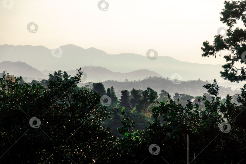 Скачать Вдалеке виден горный хребет с лесом на переднем плане фотосток Ozero