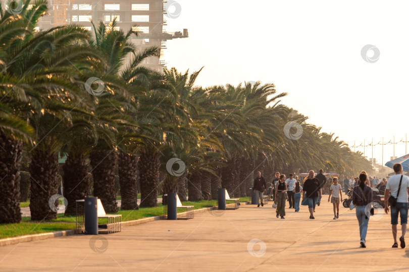 Скачать Батуми, Грузия - 10 ноября 2023 года: Батумский пешеходный бульвар с дорожкой, обсаженной деревьями, пальмами и скамейками/ Люди сидят на скамейках, прохожие прогуливаются вдалеке фотосток Ozero