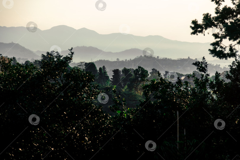 Скачать Вдалеке виден горный хребет, а на переднем плане - лес фотосток Ozero