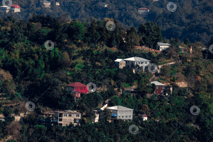 Скачать Сельская местность в Батуми. Сельские дома расположены на склонах гор. Одноэтажные, двухэтажные и трехэтажные дома окружены высокими зелеными деревьями. фотосток Ozero