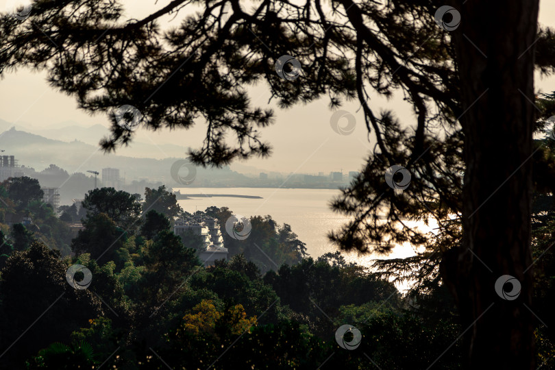 Скачать Вид на Батуми на закате из леса фотосток Ozero