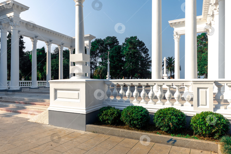 Скачать Вдалеке виден горный хребет с лесом на переднем плане фотосток Ozero