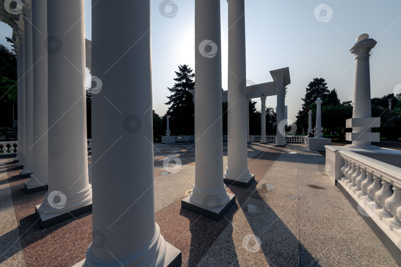 Скачать Вдалеке виден горный хребет с лесом на переднем плане фотосток Ozero