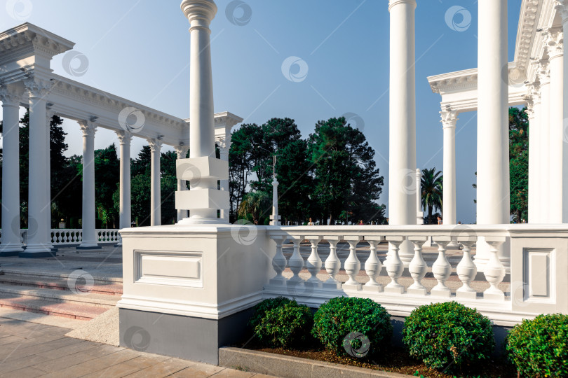 Скачать Вдалеке виден горный хребет, а на переднем плане - лес фотосток Ozero