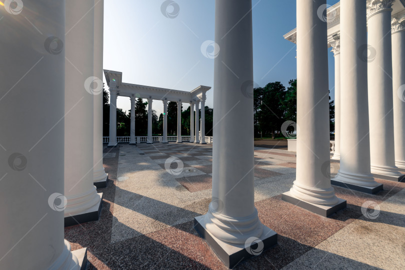 Скачать Вдалеке виден горный хребет с лесом на переднем плане фотосток Ozero