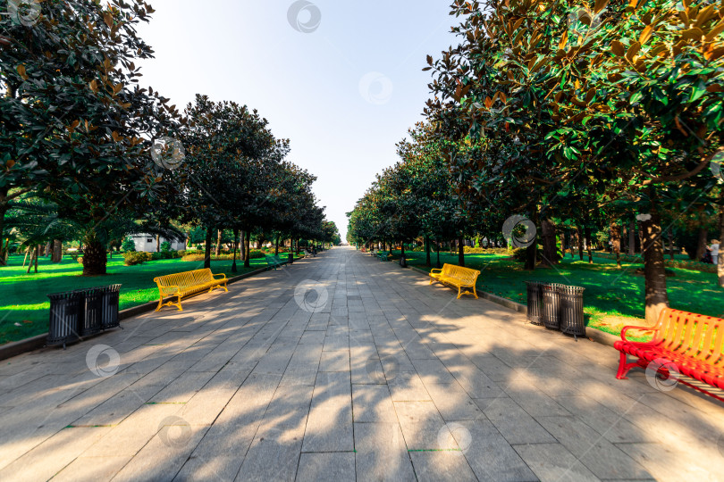 Скачать Батумский пешеходный бульвар с дорожкой, обсаженной деревьями, пальмами и скамейками фотосток Ozero