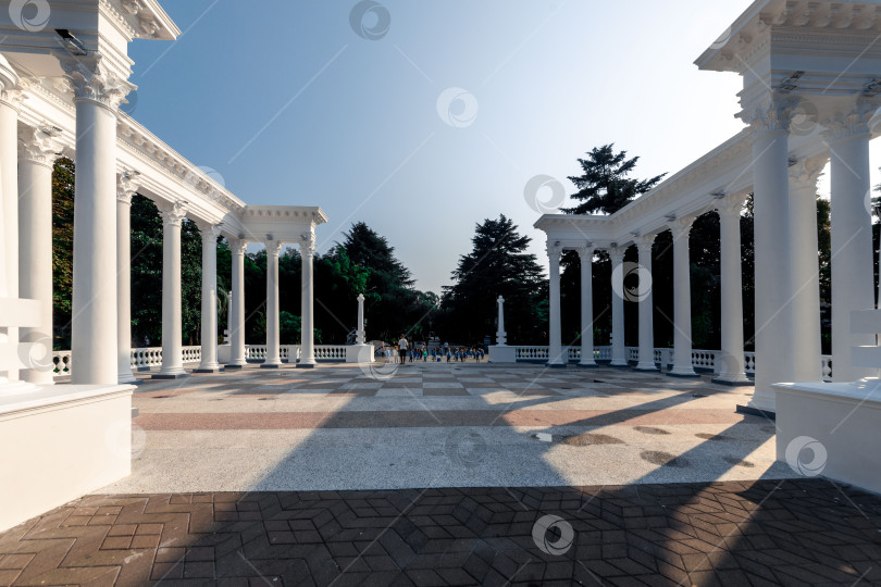 Скачать Вдалеке виден горный хребет с лесом на переднем плане фотосток Ozero