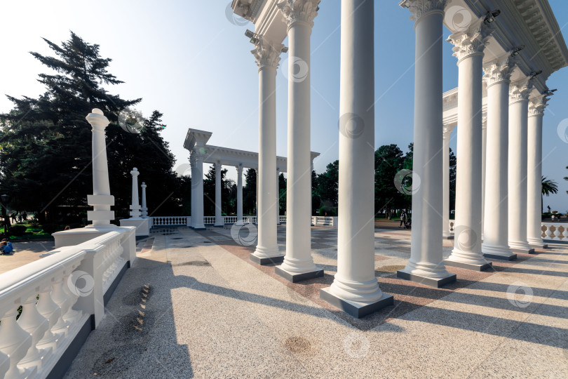 Скачать Вдалеке виден горный хребет с лесом на переднем плане фотосток Ozero