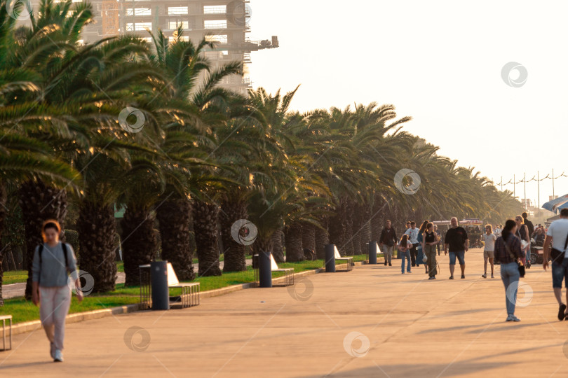 Скачать Батуми, Грузия - 10 ноября 2023 года: Батумский пешеходный бульвар с дорожкой, обсаженной деревьями, пальмами и скамейками/ Люди сидят на скамейках, прохожие прогуливаются вдалеке фотосток Ozero