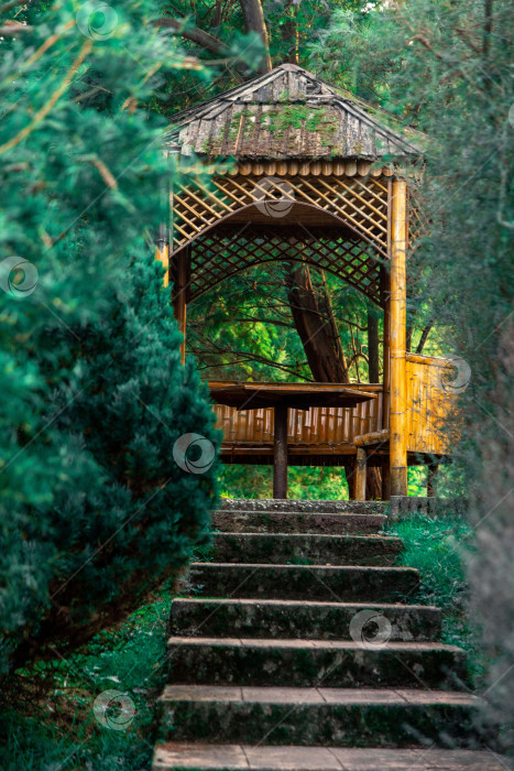 Скачать уютная деревянная беседка в лесу. Батумский ботанический сад фотосток Ozero
