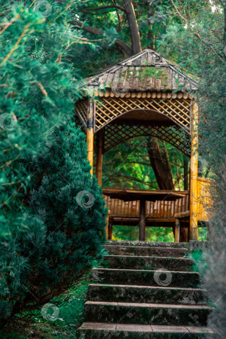 Скачать уютная деревянная беседка в лесу. Батумский ботанический сад фотосток Ozero