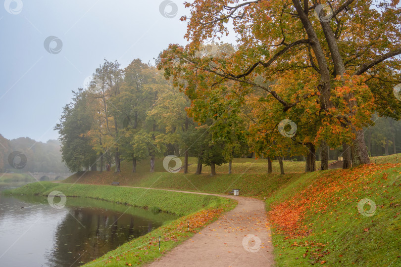 Скачать Красивая туманная аллея в осеннем парке. Гатчина. фотосток Ozero