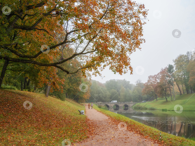 Скачать Красивая аллея в осеннем парке. Гатчина. фотосток Ozero