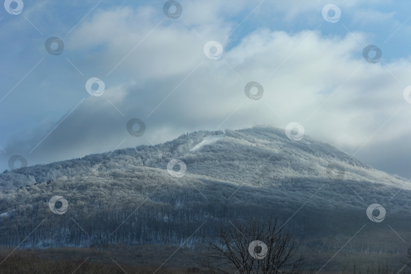 Скачать Зимний пейзаж в горах, деревья с облаками фотосток Ozero