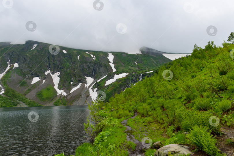 Скачать Таёжный пейзаж фотосток Ozero