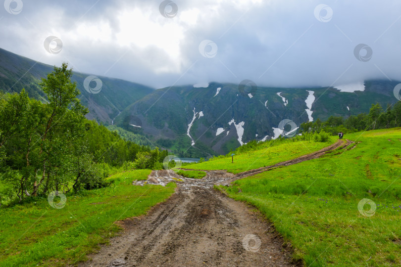 Скачать Таёжный пейзаж фотосток Ozero