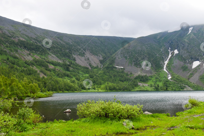 Скачать Таёжный пейзаж фотосток Ozero