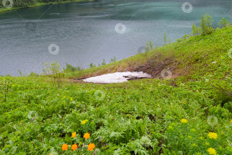 Скачать Таёжный пейзаж фотосток Ozero