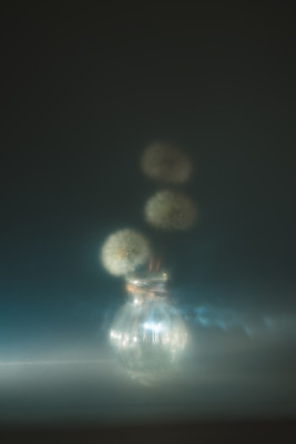 [object Object] undefined